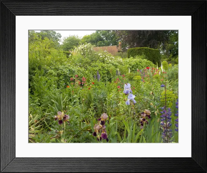 Framed Print : Munstead Wood and Gardens - home of Gertrude Jekyll Framed Print : Munstead Wood and Gardens - home of Gertrude Jekyll