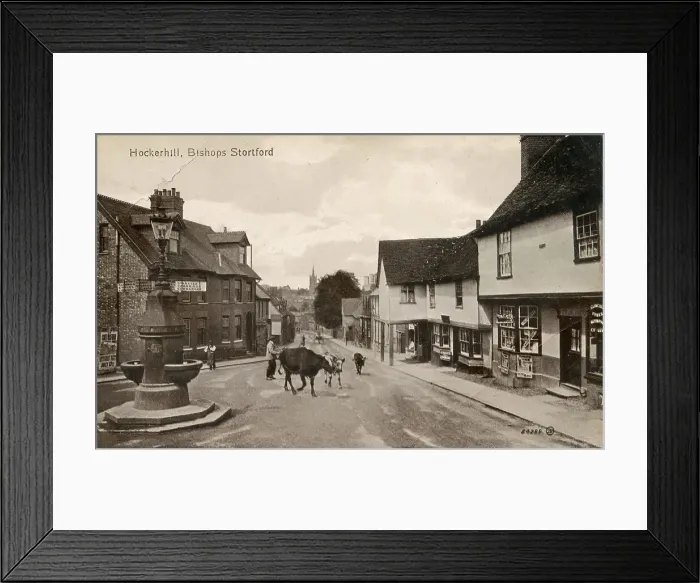 Framed Print : Hockerhill, Bishops Stortford, Hertfordshire Framed Print : Hockerhill, Bishops Stortford, Hertfordshire