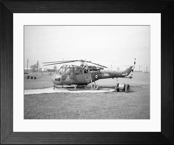 Framed Print : Westland Scout AH. 1 XP189 Framed Print : Westland Scout AH. 1 XP189
