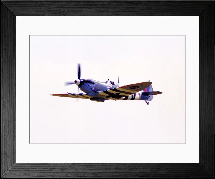 Framed Print : Supermarine Spitfire LF Mk. IXe G-BLCK - TE566 Framed Print : Supermarine Spitfire LF Mk. IXe G-BLCK - TE566