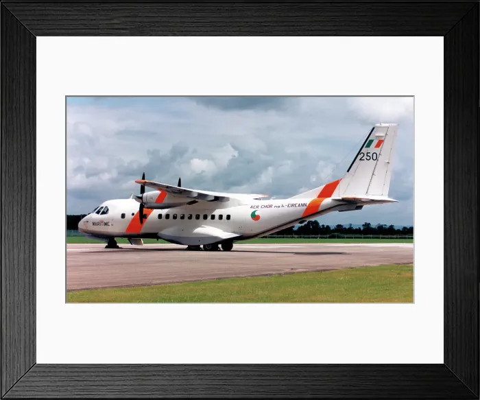 Framed Print : CASA 235-100M 250 Framed Print : CASA 235-100M 250