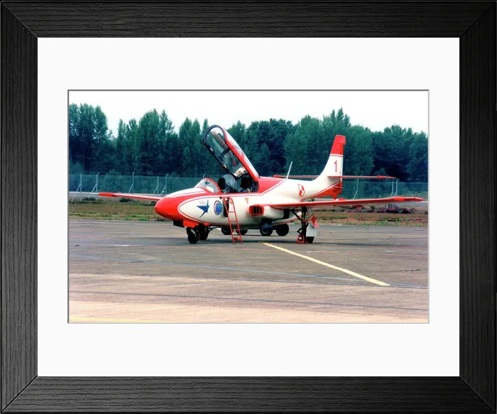 Framed Print : PZL-Mielec TS-11 0730 - 1 Framed Print : PZL-Mielec TS-11 0730 - 1
