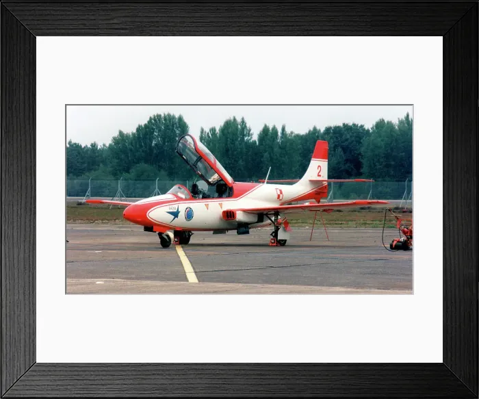 Framed Print : PZL-Mielec TS-11 0703 - 3 Framed Print : PZL-Mielec TS-11 0703 - 3
