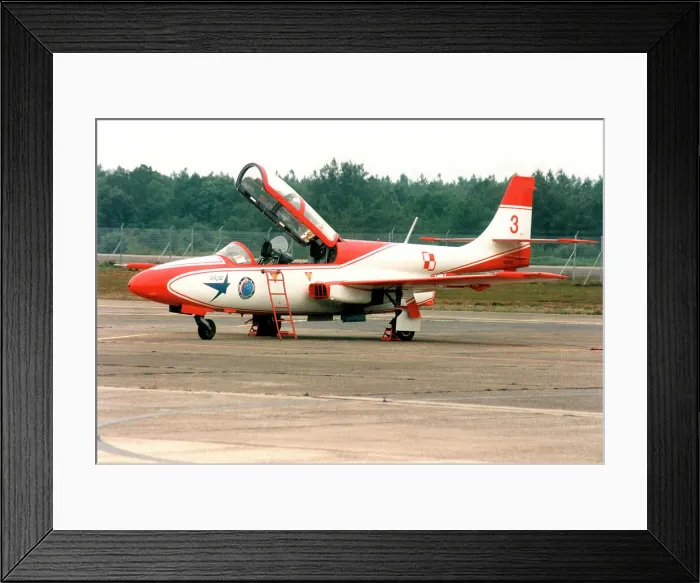 Framed Print : PZL-Mielec TS-11 0703 - 3 Framed Print : PZL-Mielec TS-11 0703 - 3