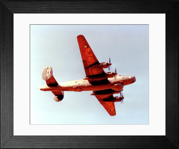Framed Print : Avro Shackleton AEW. 2 WL747 Florence Framed Print : Avro Shackleton AEW. 2 WL747 Florence