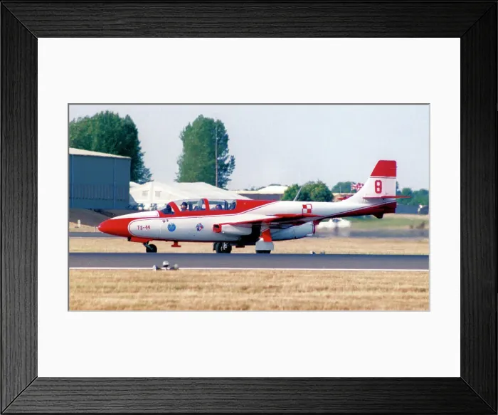 Framed Print : PZL-Mielec TS-11 2004 - 8 Framed Print : PZL-Mielec TS-11 2004 - 8