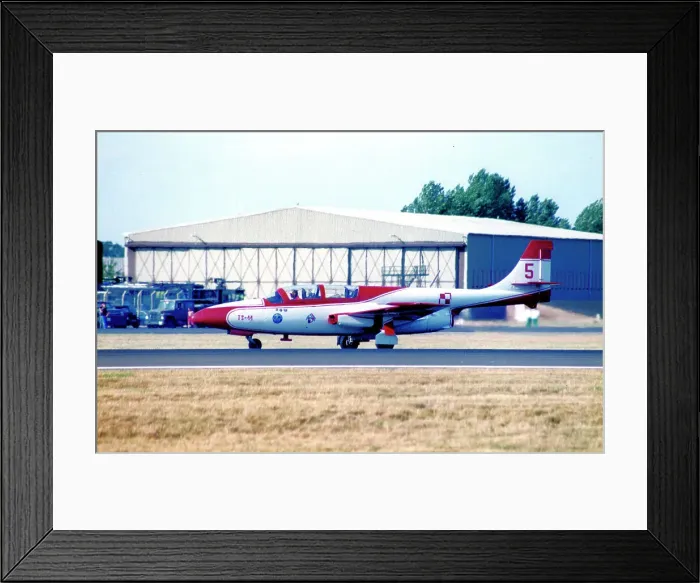Framed Print : PZL-Mielec TS-11 Iskra 0713 - 5 Framed Print : PZL-Mielec TS-11 Iskra 0713 - 5