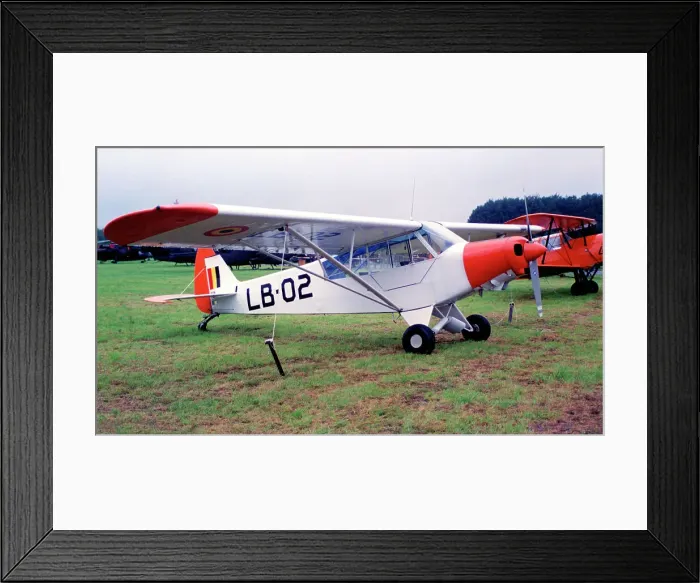 Framed Print : Piper L-21B Super Cub LB-02 Framed Print : Piper L-21B Super Cub LB-02