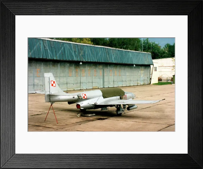 Framed Print : PZL-Mielec TS-11 Iskra 1222 Framed Print : PZL-Mielec TS-11 Iskra 1222