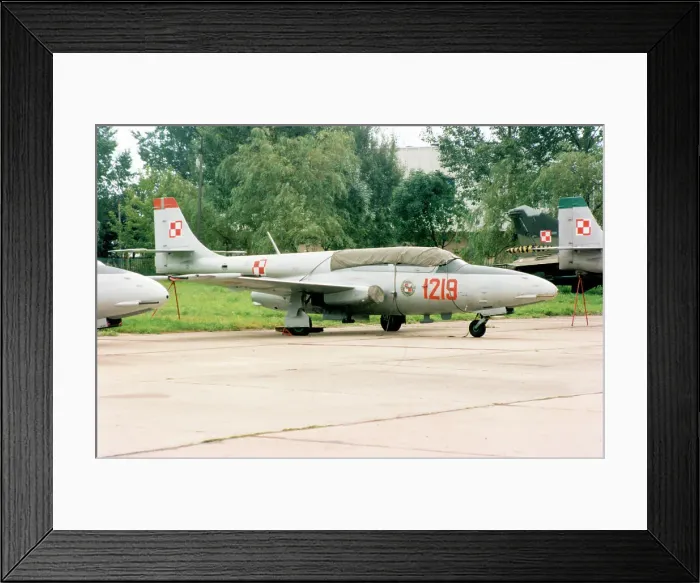 Framed Print : PZL-Mielec TS-11 Iskra 1219 Framed Print : PZL-Mielec TS-11 Iskra 1219