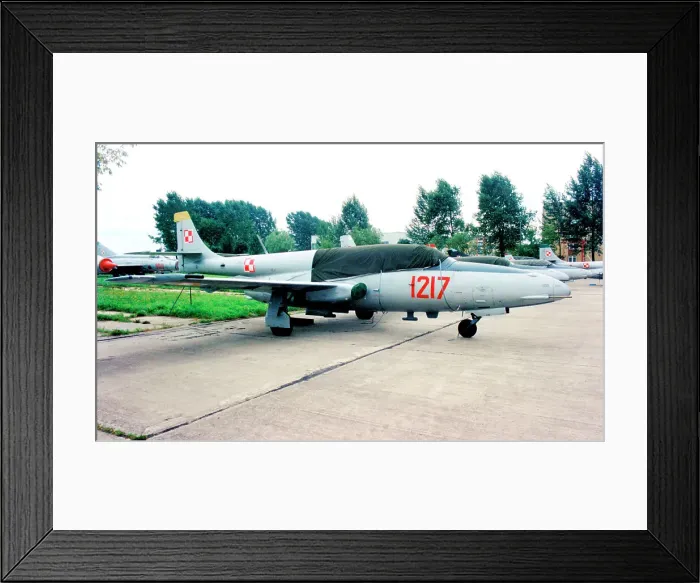 Framed Print : PZL-Mielec TS-11 Iskra 1217 Framed Print : PZL-Mielec TS-11 Iskra 1217