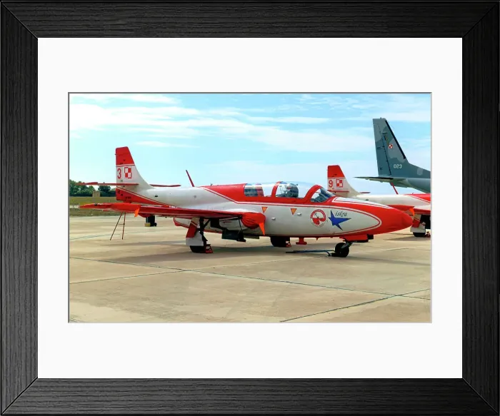 Framed Print : PZL-Mielec TS-11 Iskra 2009 - 3 Framed Print : PZL-Mielec TS-11 Iskra 2009 - 3