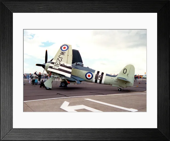 Framed Print : Hawker Sea Fury FB. 11 WJ231 Framed Print : Hawker Sea Fury FB. 11 WJ231