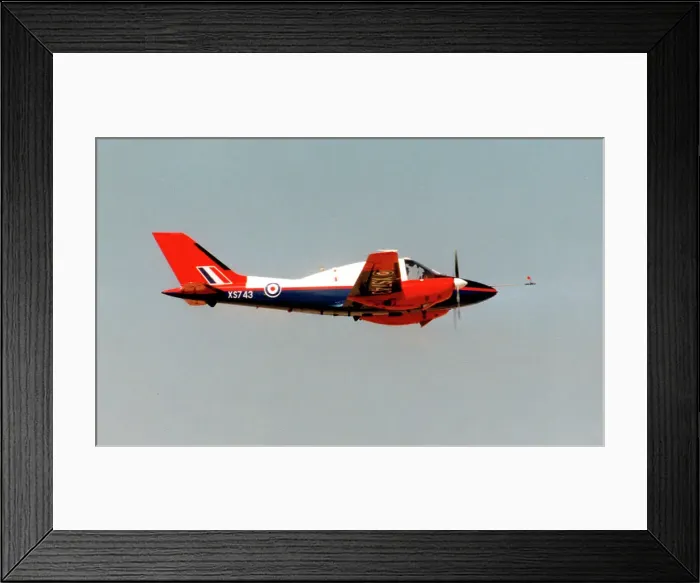 Framed Print : Beagle B. 206R Basset CC. XS743 Framed Print : Beagle B. 206R Basset CC. XS743