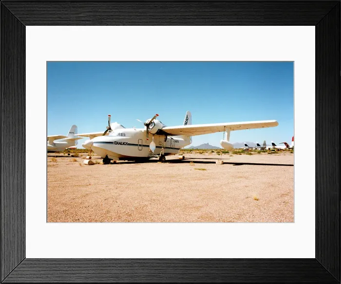 Framed Print : Grumman G-111 Albatross N116FB Framed Print : Grumman G-111 Albatross N116FB