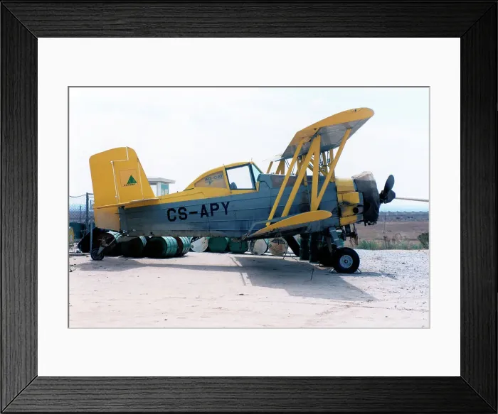 Framed Print : Grumman G-164A Ag-Cat CS-APY Framed Print : Grumman G-164A Ag-Cat CS-APY