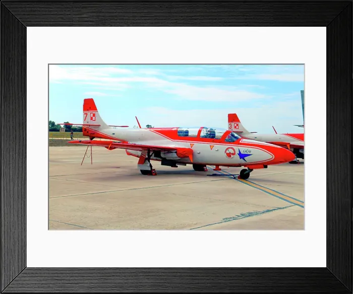Framed Print : PZL-Mielec TS-11 Iskra 2007 - 7 Framed Print : PZL-Mielec TS-11 Iskra 2007 - 7