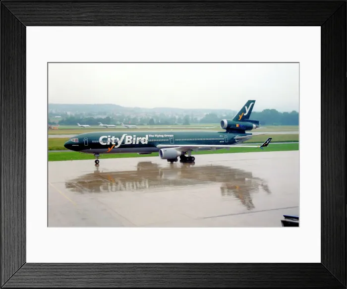 Framed Print : McDonnell Douglas MD-11F OO-CTF Albatros Framed Print : McDonnell Douglas MD-11F OO-CTF Albatros