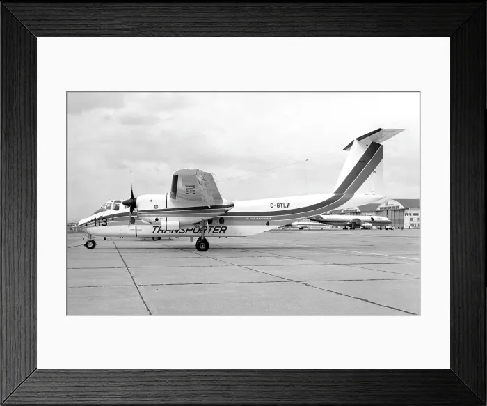 Framed Print : de Havilland Canada DHC-5D Buffalo C-GTLW Framed Print : de Havilland Canada DHC-5D Buffalo C-GTLW