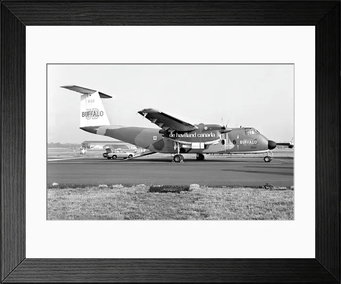 Framed Print : de Havilland Canada DHC-5D Buffalo C-GBUF Framed Print : de Havilland Canada DHC-5D Buffalo C-GBUF