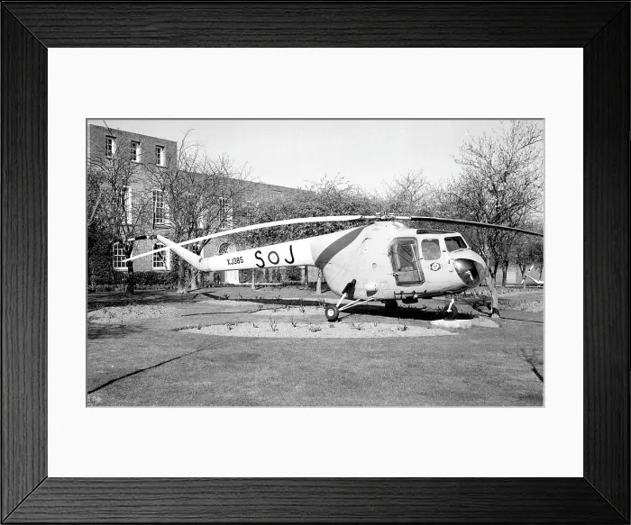 Framed Print : Bristol 171 Sycamore HR. 14 XJ385 Framed Print : Bristol 171 Sycamore HR. 14 XJ385
