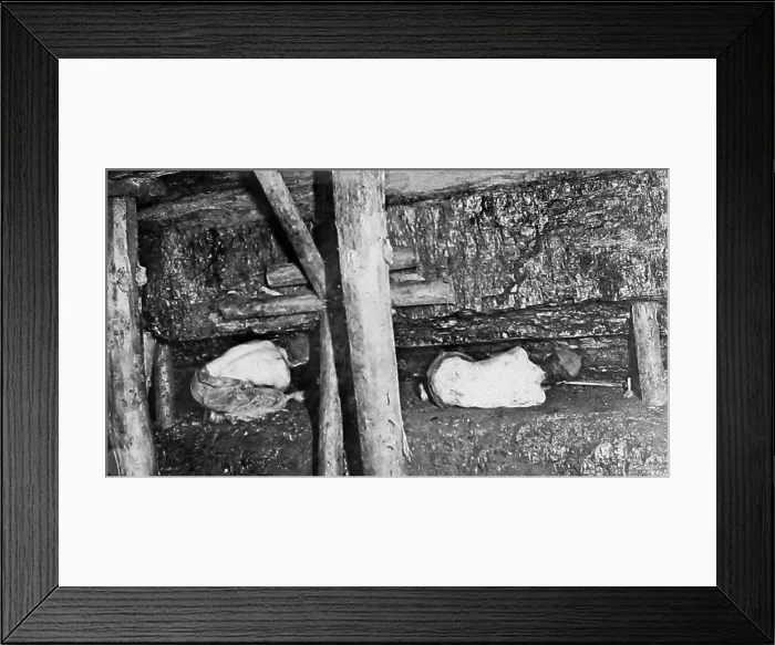 Framed Print : Undercutting, coal miners Framed Print : Undercutting, coal miners