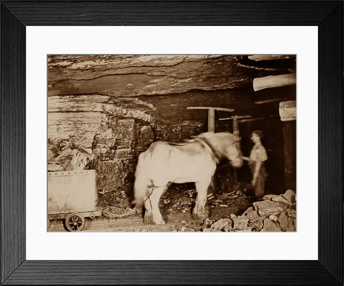 Framed Print : Pit pony in a coal mine Framed Print : Pit pony in a coal mine