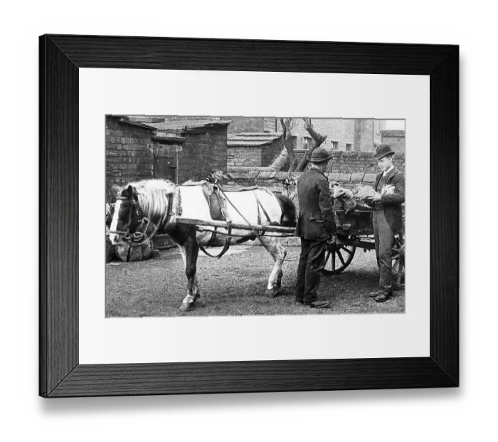 Framed Print : Rhubarb seller Framed Print : Rhubarb seller