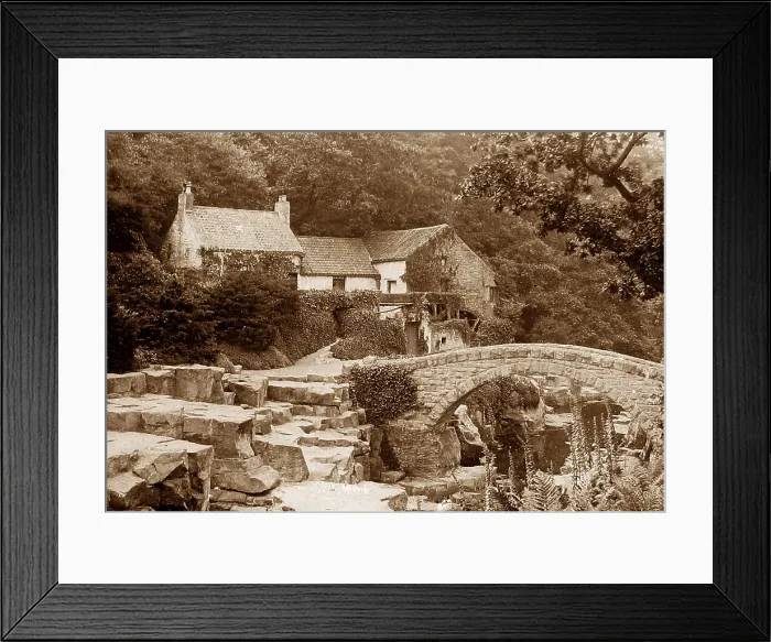 Framed Print : Jesmond Dene Victorian period Framed Print : Jesmond Dene Victorian period