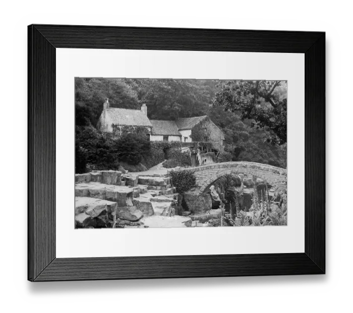 Framed Print : Jesmond Dene, Newcastle upon Tyne Framed Print : Jesmond Dene, Newcastle upon Tyne