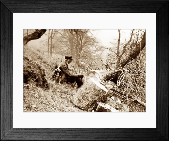 Framed Print : Woodcutter and his dog Victorian period Framed Print : Woodcutter and his dog Victorian period
