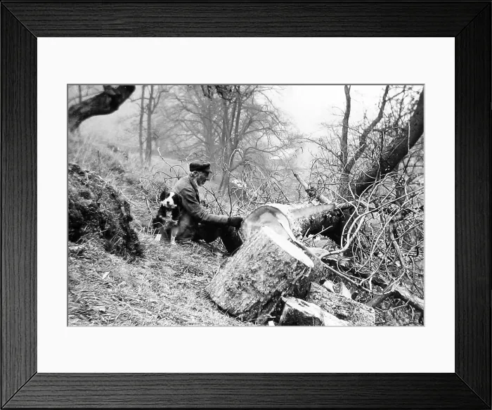 Framed Print : Woodcutter and dog Framed Print : Woodcutter and dog