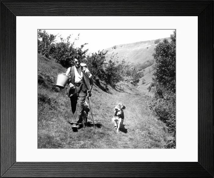 Framed Print : Swaledale Farmer 1940s Framed Print : Swaledale Farmer 1940s