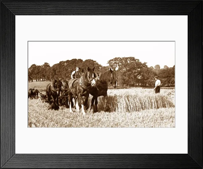 Framed Print : Farming in Little Weighton Framed Print : Farming in Little Weighton