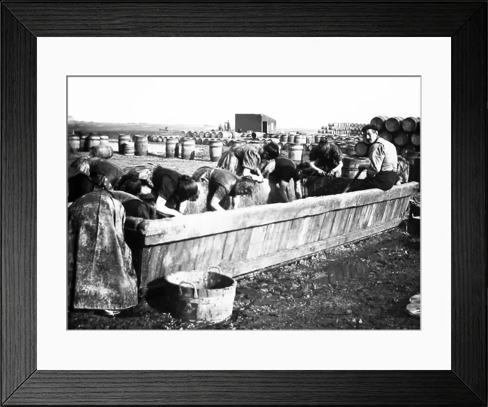 Framed Print : Lowestoft Fish Girls early 1900s Framed Print : Lowestoft Fish Girls early 1900s