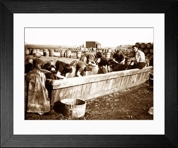 Framed Print : Fish Girls, Lowestof Framed Print : Fish Girls, Lowestof
