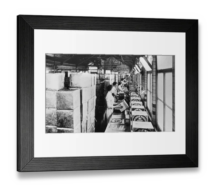Framed Print : Crumpsall CWS Biscuit Factory in 1908 Framed Print : Crumpsall CWS Biscuit Factory in 1908