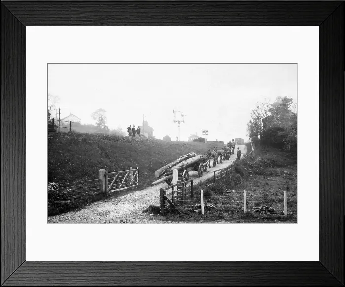 Framed Print : Glaisdale Railway Station hauling timber early 1900s Framed Print : Glaisdale Railway Station hauling timber early 1900s