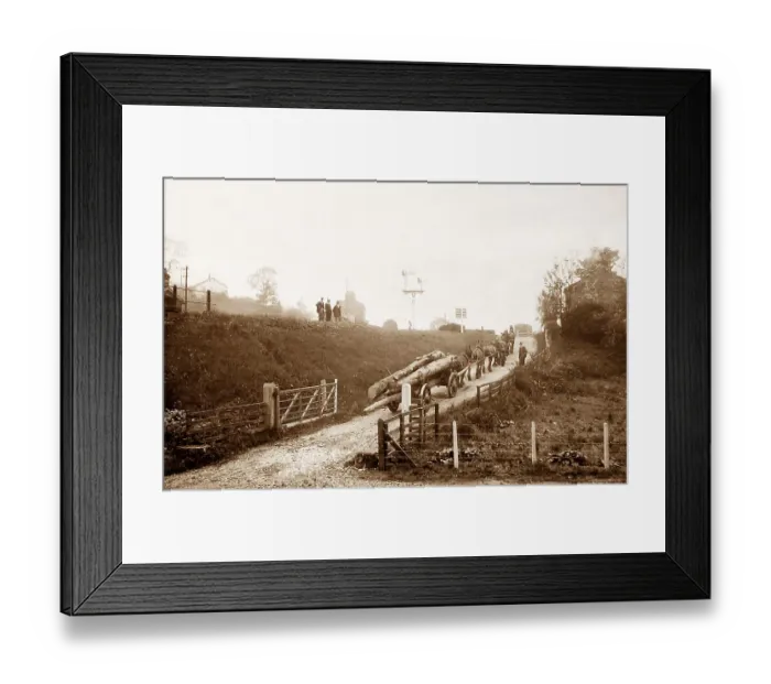 Framed Print : Horses hauling timber to Glaisdale Railway Station Framed Print : Horses hauling timber to Glaisdale Railway Station