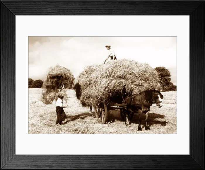 Framed Print : Haymaking Framed Print : Haymaking