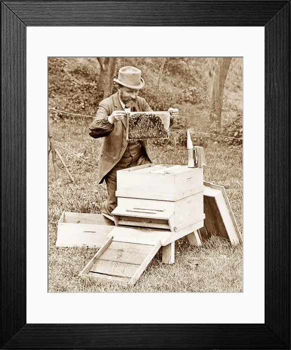 Framed Print : Bee keeper Framed Print : Bee keeper