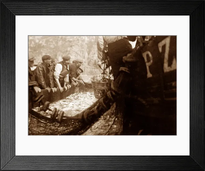Framed Print : Pilchard fishing in Cornwall with Seine net Framed Print : Pilchard fishing in Cornwall with Seine net