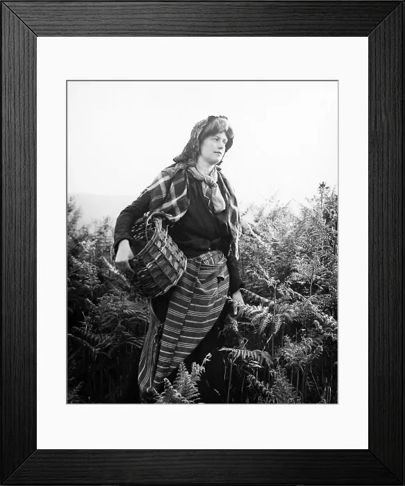Framed Print : Rural idyll Framed Print : Rural idyll