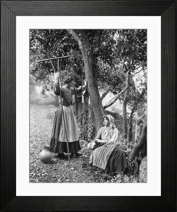 Framed Print : Rural idyll Framed Print : Rural idyll