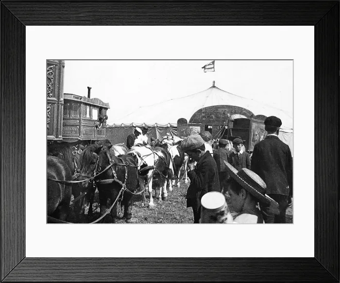 Framed Print : Barnum's Circus in Ramsgate in 1899 Framed Print : Barnum's Circus in Ramsgate in 1899