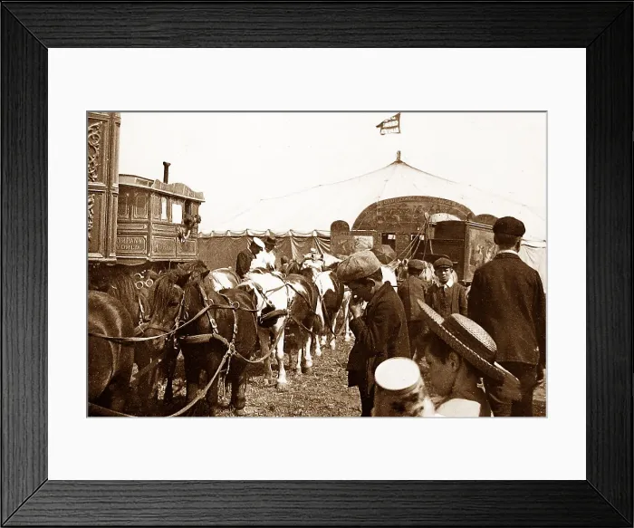 Framed Print : Circus parade in Ramsgate in 1899 Framed Print : Circus parade in Ramsgate in 1899