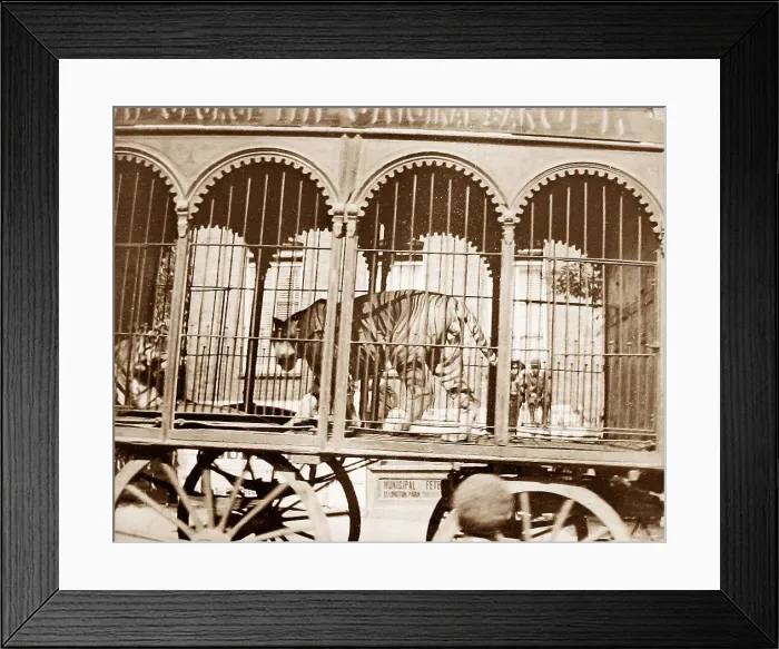 Framed Print : Sangers Circus parade Framed Print : Sangers Circus parade