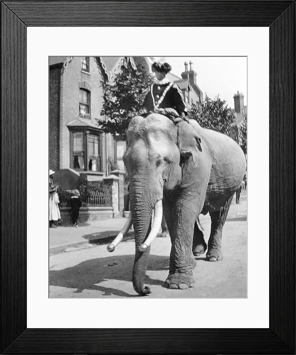 Framed Print : Barnum's Circus in Ramsgate in 1899 Framed Print : Barnum's Circus in Ramsgate in 1899