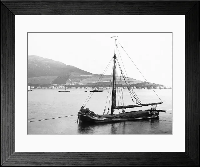 Framed Print : Strone near Dunoon Framed Print : Strone near Dunoon