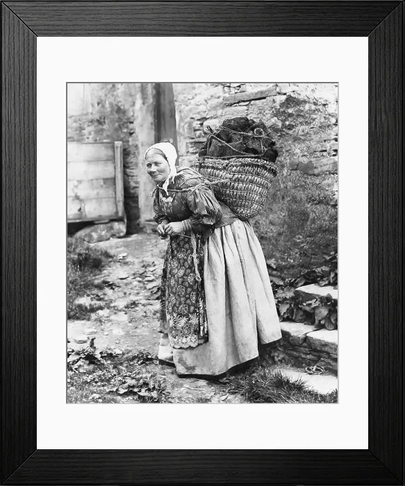 Framed Print : Lady carrying peat and knitting, Shetland Isles Framed Print : Lady carrying peat and knitting, Shetland Isles